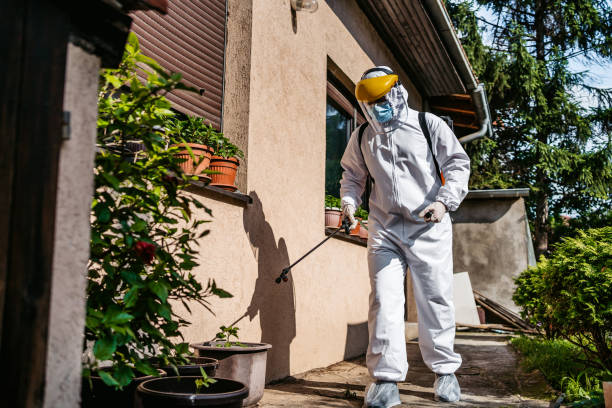 Best Pest Prevention Services  in Dickinson, TX