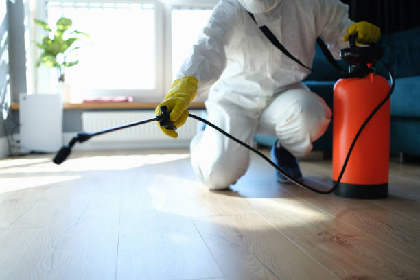 Best Best Pest Control Companies  in Dickinson, TX