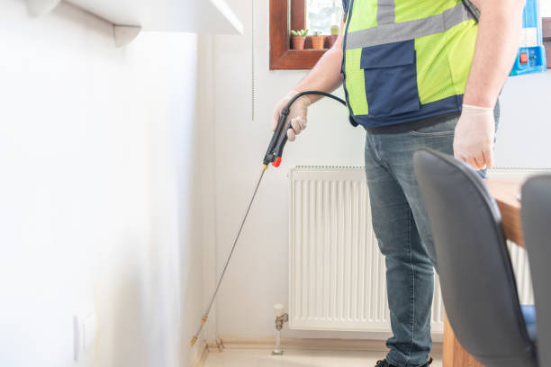 Best Termite Control Services  in Dickinson, TX
