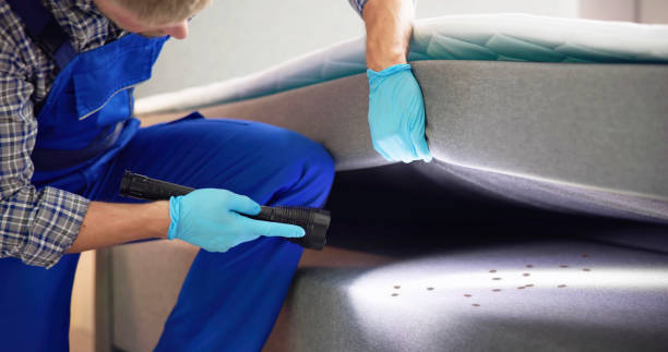 Best Pest Control Near Me  in Dickinson, TX